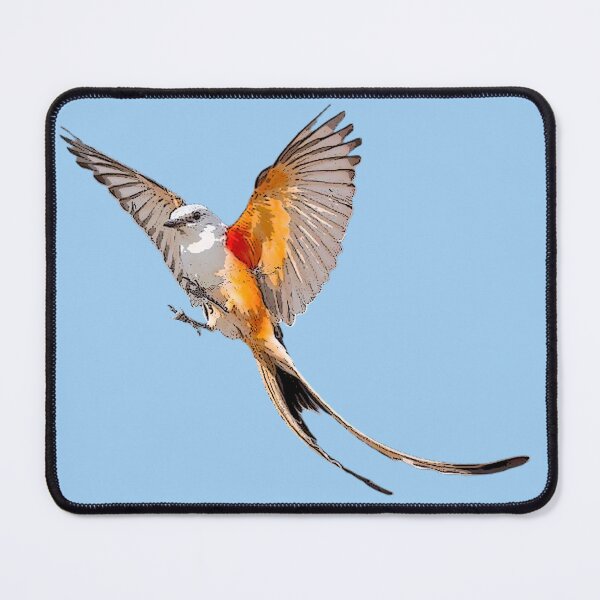 Item preview, Scissor-tailed Flycatcher Color Design designed and sold by designsasstultd.