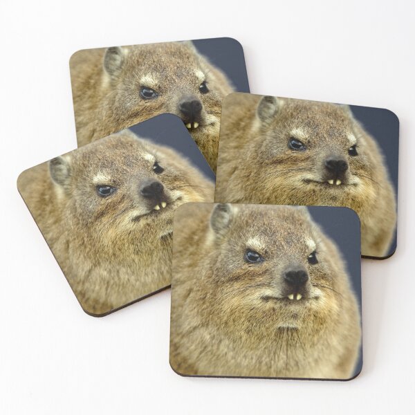 Item preview, Rock Hyrax Photo - Dassie | Cute Vampire Potato Essential T-Shirt designed and sold by matchakpop.