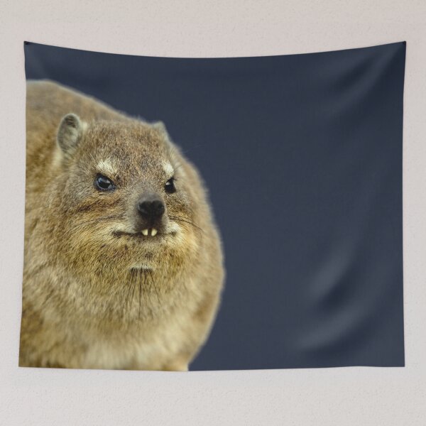 Item preview, Rock Hyrax Photo - Dassie | Cute Vampire Potato Essential T-Shirt designed and sold by matchakpop.