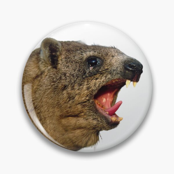 Item preview, Rock Hyrax Screaming Awawa | Dassie Cute Vampire Potato designed and sold by matchakpop.