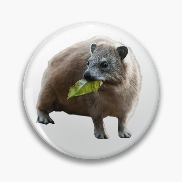 Item preview, Rock Hyrax Eating Awawa Cute  designed and sold by matchakpop.
