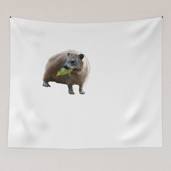 Item preview, Rock Hyrax Eating Awawa Cute  designed and sold by matchakpop.