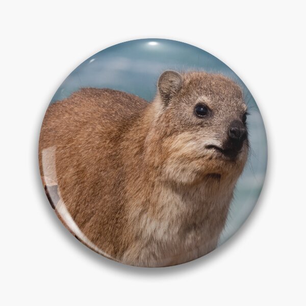 Item preview, Contemplative Rock Hyrax by the Sea | Awawa Cute  designed and sold by matchakpop.