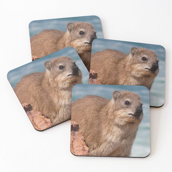 Item preview, Contemplative Rock Hyrax by the Sea | Awawa Cute  designed and sold by matchakpop.