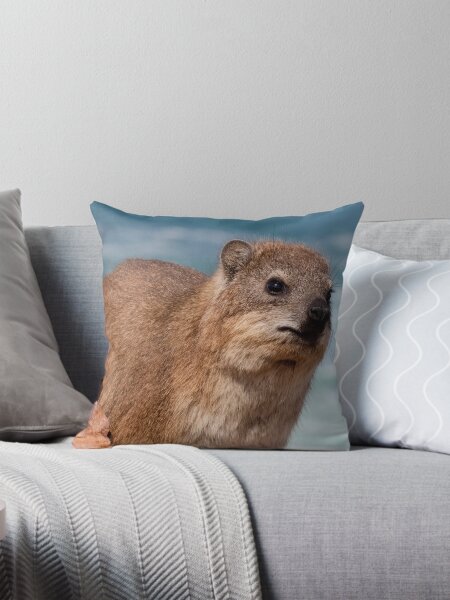 Item preview, Contemplative Rock Hyrax by the Sea | Awawa Cute  designed and sold by matchakpop.