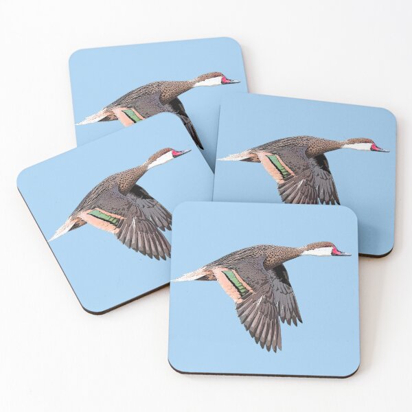Item preview, White-cheeked Pintail Color Design  designed and sold by designsasstultd.