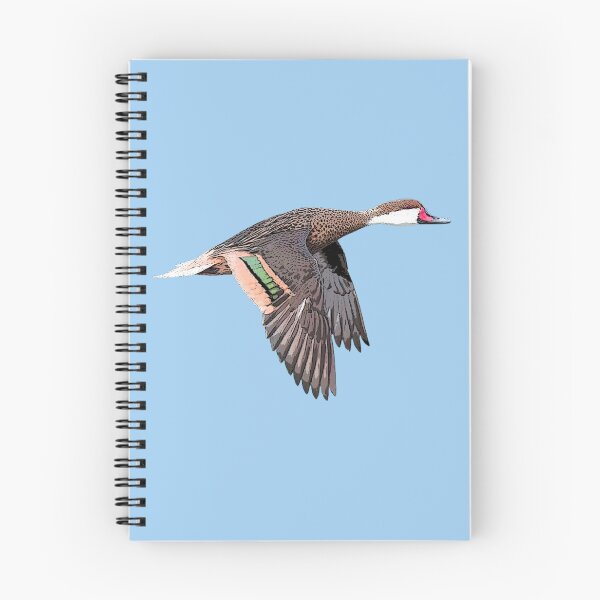Item preview, White-cheeked Pintail Color Design  designed and sold by designsasstultd.