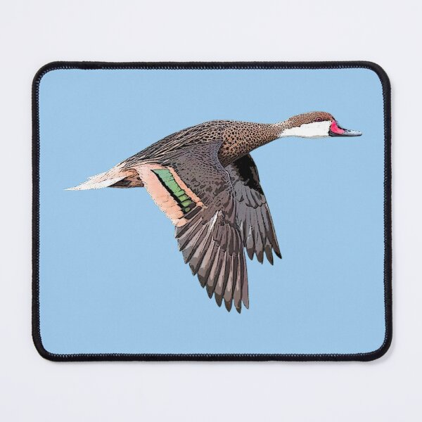 Item preview, White-cheeked Pintail Color Design  designed and sold by designsasstultd.