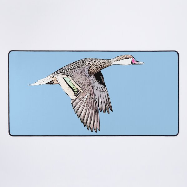 Item preview, White-cheeked Pintail Black Alternate Design  designed and sold by designsasstultd.