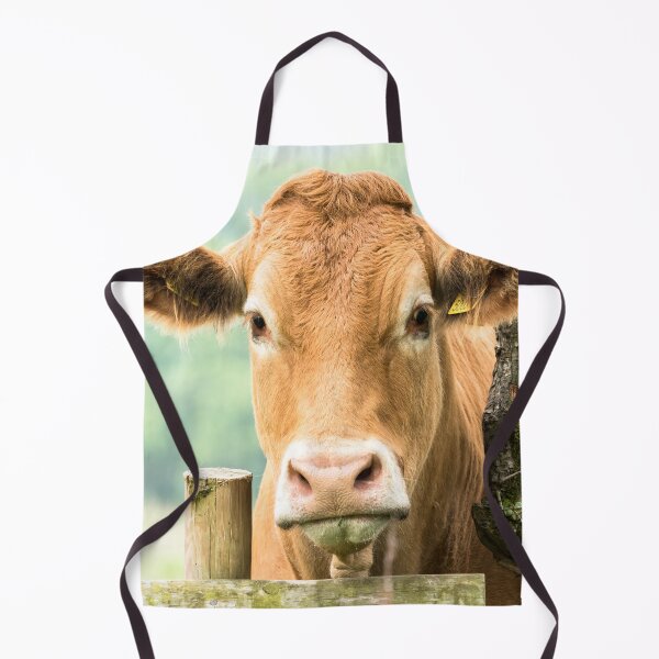 Item preview, Limousin Cow 4 designed and sold by Jane Stanley Photography.