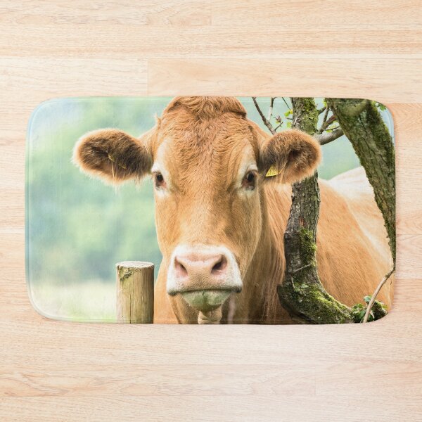 Item preview, Limousin Cow 4 designed and sold by Jane Stanley Photography.