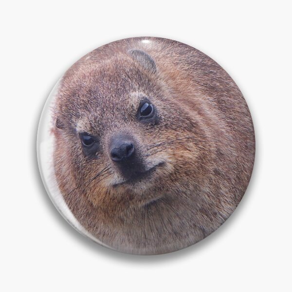 Item preview, Fluffy Rock Hyrax Awawa designed and sold by matchakpop.