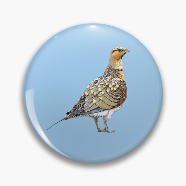 Item preview, Pin-tailed Sandgrouse Color Design  designed and sold by designsasstultd.
