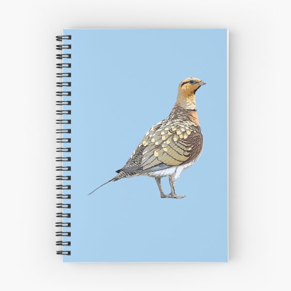 Item preview, Pin-tailed Sandgrouse Color Design  designed and sold by designsasstultd.