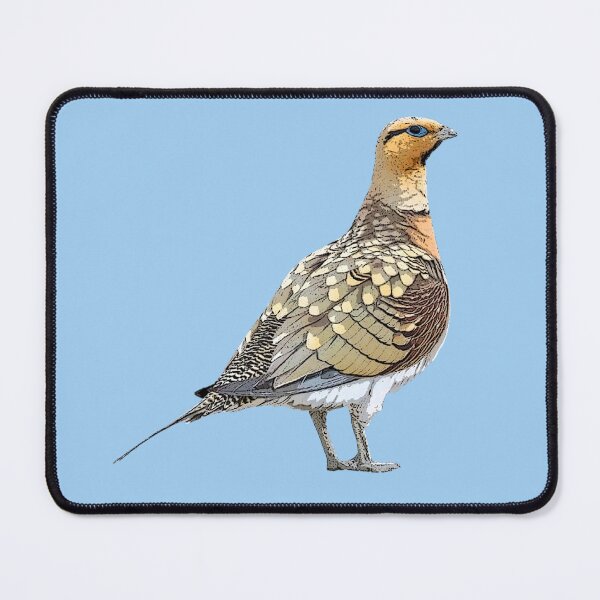 Item preview, Pin-tailed Sandgrouse Color Design designed and sold by designsasstultd.
