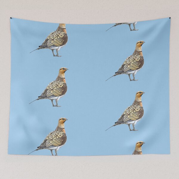 Item preview, Pin-tailed Sandgrouse Color Design  designed and sold by designsasstultd.
