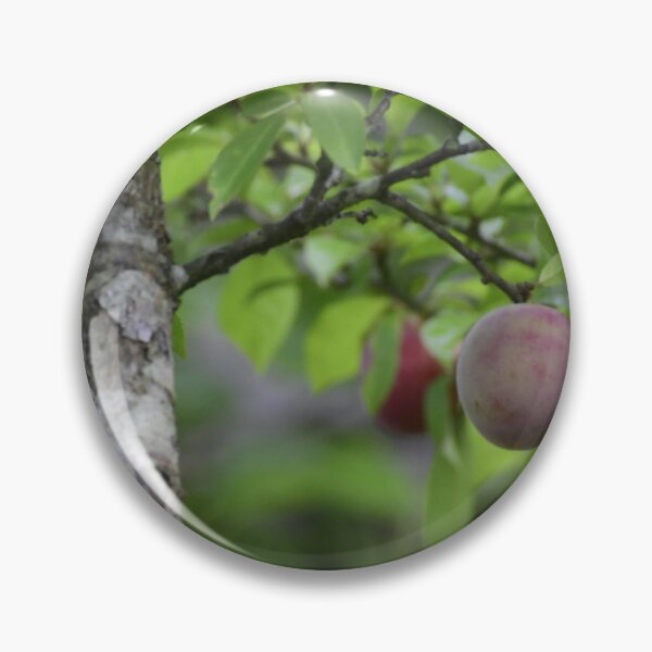 Item preview, A ripe plumb in summer designed and sold by FoxGlove5.