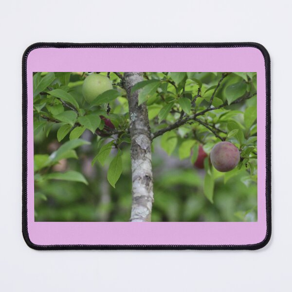 Item preview, A ripe plumb in summer designed and sold by FoxGlove5.