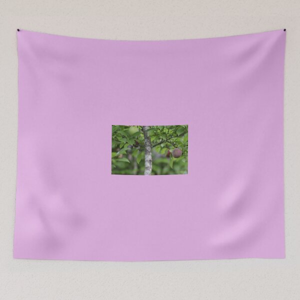 Item preview, A ripe plumb in summer designed and sold by FoxGlove5.