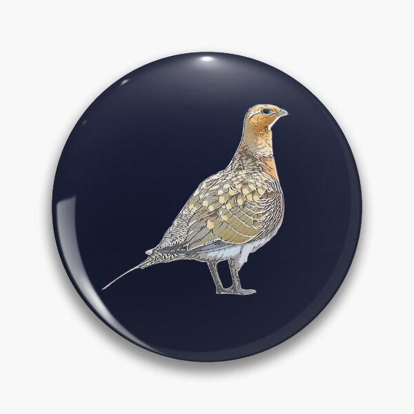 Item preview, Pin-tailed Sandgrouse White Alternate Design  designed and sold by designsasstultd.