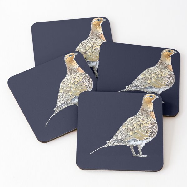 Item preview, Pin-tailed Sandgrouse White Alternate Design  designed and sold by designsasstultd.