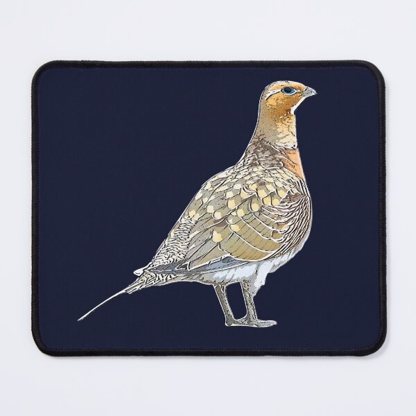 Item preview, Pin-tailed Sandgrouse White Alternate Design  designed and sold by designsasstultd.