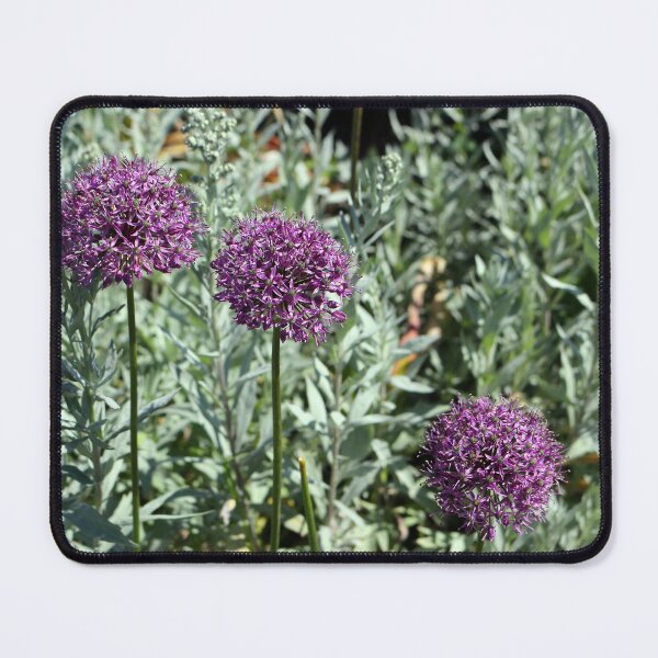 Item preview, Purple Allium  designed and sold by pinkal.