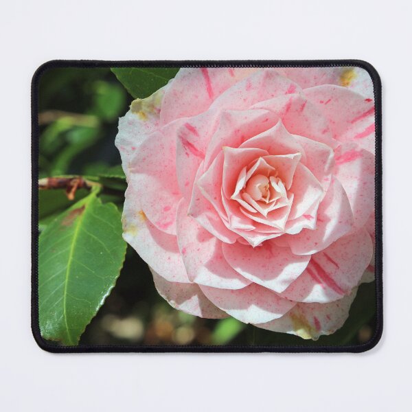 Item preview, Camellia Japonica	 designed and sold by pinkal.