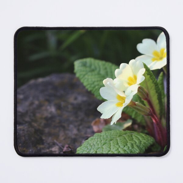 Item preview, Yellow Primroses designed and sold by pinkal.