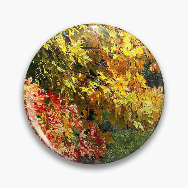 Item preview, Early Autumn Colors designed and sold by BostonArcImage.