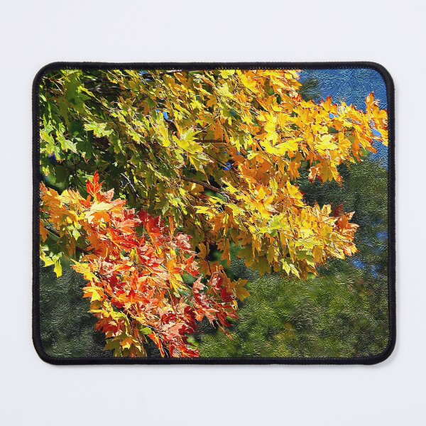 Item preview, Early Autumn Colors designed and sold by BostonArcImage.