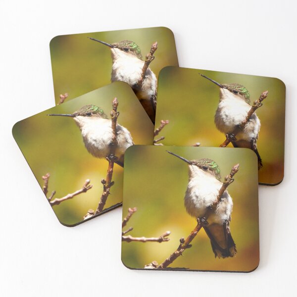 Item preview, November Hummingbird designed and sold by Barnbk02.