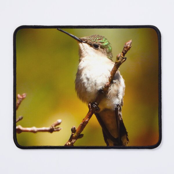Item preview, November Hummingbird designed and sold by Barnbk02.