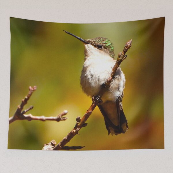 Item preview, November Hummingbird designed and sold by Barnbk02.