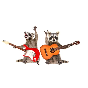Artwork thumbnail, Rocking Racoons Sticker Car Decal by windowdecals