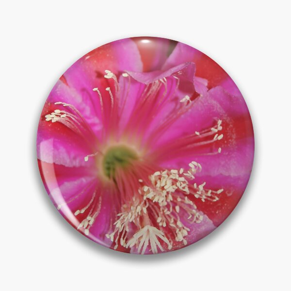 Item preview, Wide Open designed and sold by heatherfriedman.