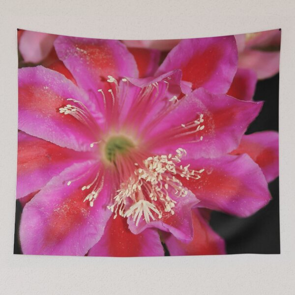 Item preview, Wide Open designed and sold by heatherfriedman.