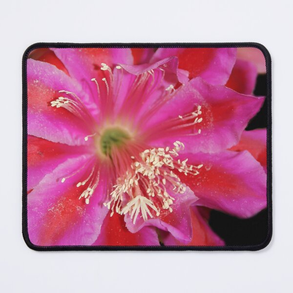 Item preview, Wide Open designed and sold by heatherfriedman.