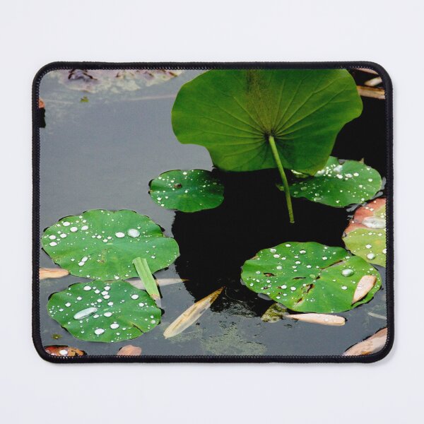 Item preview, First rain drops designed and sold by agnessa38.