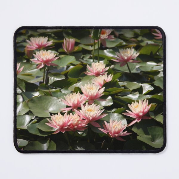 Item preview, Pond in bloom designed and sold by agnessa38.
