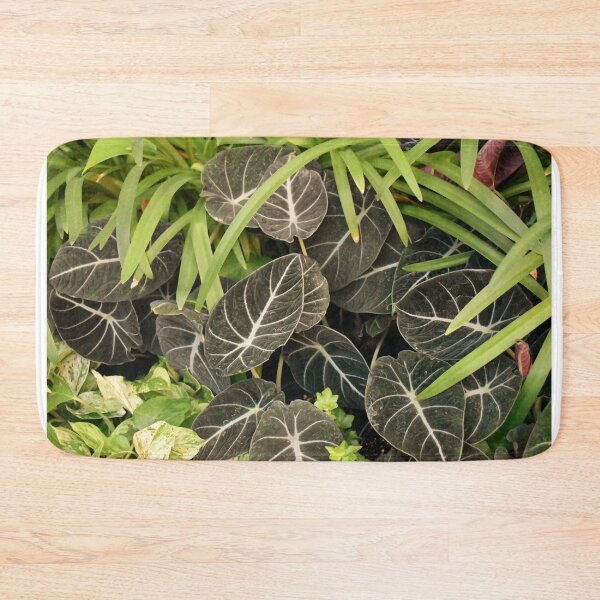 Item preview, Pretty Bellagio Foliage 2 designed and sold by MangoSeeds.