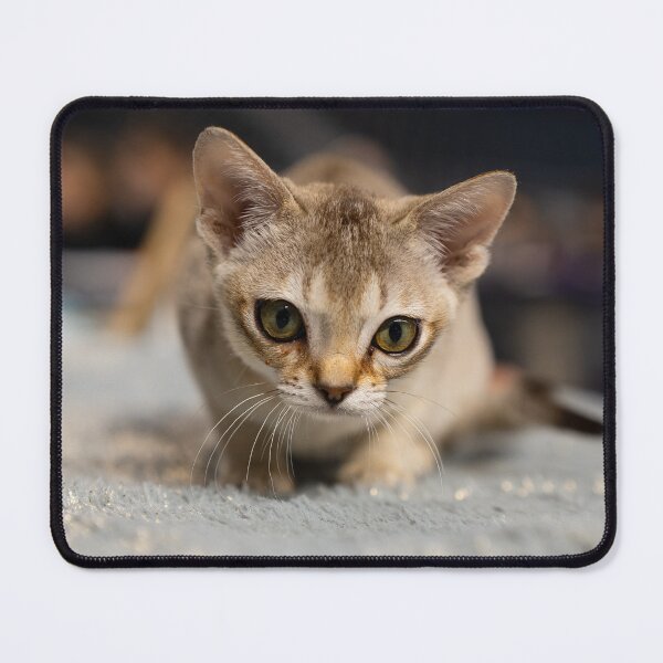 Item preview, Cat designed and sold by ART-SUNRISE.