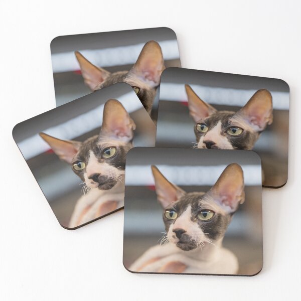Item preview, cat portrait  designed and sold by ART-SUNRISE.