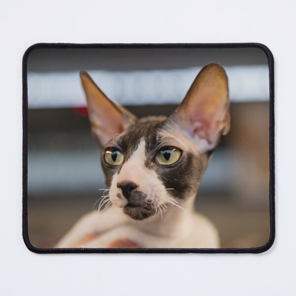 Item preview, cat portrait  designed and sold by ART-SUNRISE.