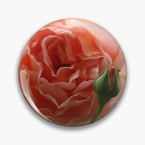 Item preview, Rose with a baby designed and sold by agnessa38.