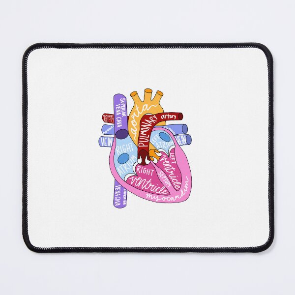Item preview, Anatomical Heart designed and sold by caroluvsgators.