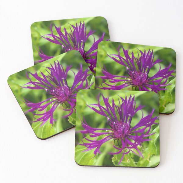 Item preview, Shrinking violet  designed and sold by Sweetwater27.