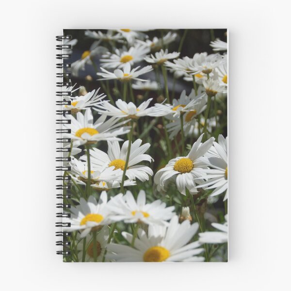 Item preview, Marguerite Daisies in the garden at Magpie Springs by Adelaide artist Avril Thomas designed and sold by MagpieSprings.