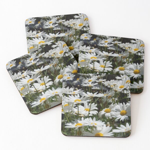 Item preview, Marguerite Daisies in the garden at Magpie Springs by Adelaide artist Avril Thomas designed and sold by MagpieSprings.