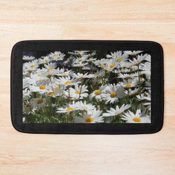 Item preview, Marguerite Daisies in the garden at Magpie Springs by Adelaide artist Avril Thomas designed and sold by MagpieSprings.